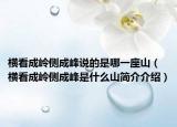 横看成岭侧成峰说的是哪一座山（横看成岭侧成峰是什么山简介介绍）