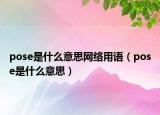 pose是什么意思网络用语（pose是什么意思）