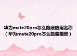 华为mate20pro怎么隐藏应用名称（华为mate20pro怎么隐藏相册）