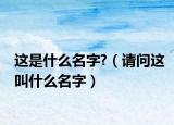这是什么名字?（请问这叫什么名字）