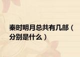 秦时明月总共有几部（分别是什么）