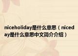 niceholiday是什么意思（niceday是什么意思中文简介介绍）