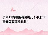 小米11青春版有耳机孔（小米11青春版有耳机孔吗）