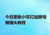 今日更新小苏打加酵母做馒头教程
