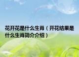 花开花是什么生肖（开花结果是什么生肖简介介绍）