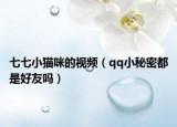 七七小猫咪的视频（qq小秘密都是好友吗）