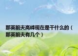 那英前夫高峰现在是干什么的（那英前夫有几个）