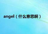 angel（什么意思啊）