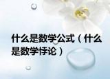 什么是数学公式（什么是数学悖论）