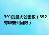391的最大公因数（392有哪些公因数）