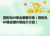 冒险岛60级去哪里升级（冒险岛60级去哪升级简介介绍）