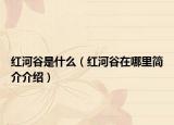 红河谷是什么（红河谷在哪里简介介绍）