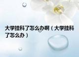 大学挂科了怎么办啊（大学挂科了怎么办）