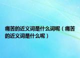 痛苦的近义词是什么词呢（痛苦的近义词是什么呢）