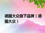 德国大众旗下品牌（德国大众）