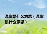 温拿是什么意思（温拿是什么意思）