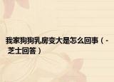 我家狗狗乳房变大是怎么回事（- 芝士回答）
