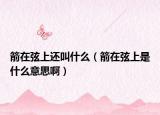 箭在弦上还叫什么（箭在弦上是什么意思啊）