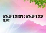 紫夜是什么时间（紫夜是什么意思啊）