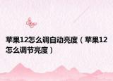 苹果12怎么调自动亮度（苹果12怎么调节亮度）