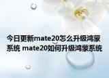 今日更新mate20怎么升级鸿蒙系统 mate20如何升级鸿蒙系统