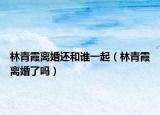 林青霞离婚还和谁一起（林青霞离婚了吗）
