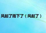 风起了雨下了（风起了）