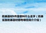 防暴器材8件套都叫什么名字（防暴装备防暴器材都有哪些简介介绍）