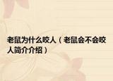 老鼠为什么咬人（老鼠会不会咬人简介介绍）
