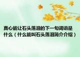 真心能让石头落泪的下一句词语是什么（什么能叫石头落泪简介介绍）
