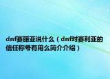 dnf赛丽亚说什么（dnf对赛利亚的信任称号有用么简介介绍）