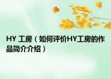 HY 工房（如何评价HY工房的作品简介介绍）