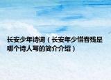 长安少年诗词（长安年少惜春残是哪个诗人写的简介介绍）
