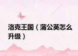 洛克王国（蒲公英怎么升级）