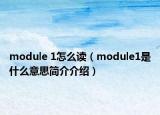 module 1怎么读（module1是什么意思简介介绍）