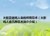 火影忍者鸣人会的所有忍术（火影鸣人会几种忍术简介介绍）
