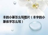 丰的小篆怎么写图片（丰字的小篆体字怎么写）