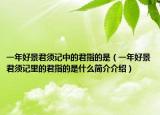 一年好景君须记中的君指的是（一年好景君须记里的君指的是什么简介介绍）