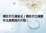相忘于江湖含义（相忘于江湖是什么意思简介介绍）