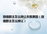 微信群主怎么转让失败原因（微信群主怎么转让）