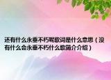 还有什么永垂不朽呢歌词是什么意思（没有什么会永垂不朽什么歌简介介绍）