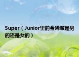 Super（Junior里的金唏澈是男的还是女的）