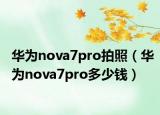 华为nova7pro拍照（华为nova7pro多少钱）
