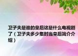 卫子夫是谁的皇后这是什么电视剧了（卫子夫多少集时当皇后简介介绍）
