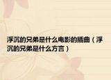 浮沉的兄弟是什么电影的插曲（浮沉的兄弟是什么方言）
