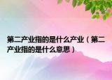 第二产业指的是什么产业（第二产业指的是什么意思）