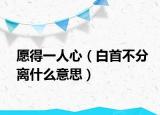 愿得一人心（白首不分离什么意思）