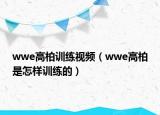 wwe高柏训练视频（wwe高柏是怎样训练的）