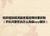 楦胯挋鎵嬫満鎬庝箞闅愯棌搴旂敤（手机鸿蒙系统怎么隐藏app图标）