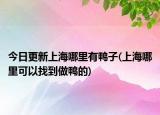 今日更新上海哪里有鸭子(上海哪里可以找到做鸭的)